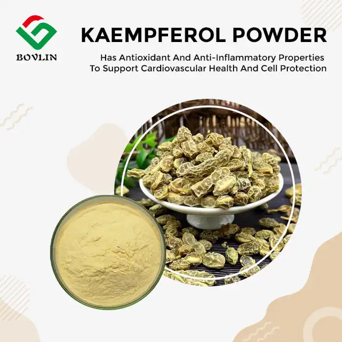Kaempferol Powder